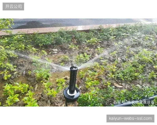 鸟巢地下水浸传感器同步联调自动喷滴灌控制阀